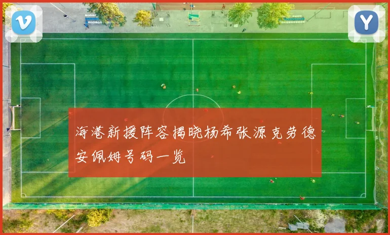 海港新援阵容揭晓杨希张源克劳德安佩姆号码一览