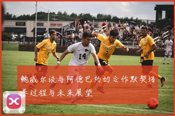 鲍威尔谈与阿德巴约的合作默契培养过程与未来展望
