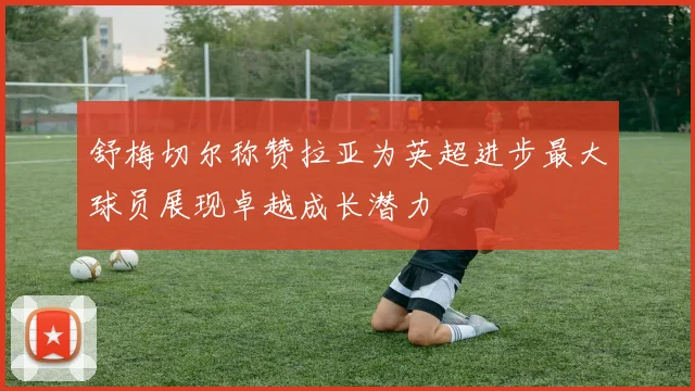 舒梅切尔称赞拉亚为英超进步最大球员展现卓越成长潜力