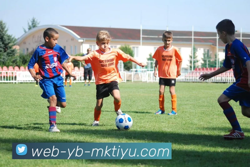 MK体育平台生态图