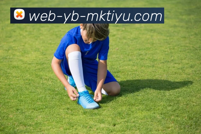 MK体育APP 封面图